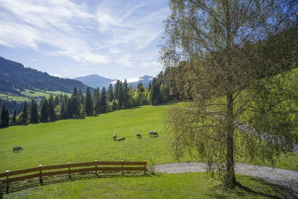 Bauernhof Hinterfirst Appartement Söll Buitenkant foto